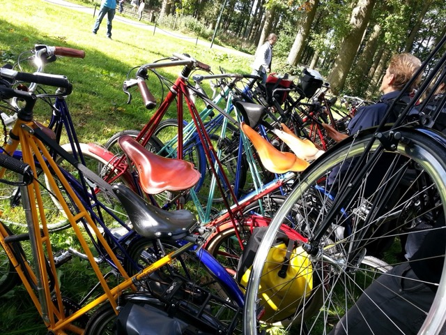 Een rij kleurrijke Pedersenfietsen met leren hangmatzadels, geparkeerd op het gras aan de rand van een bos.